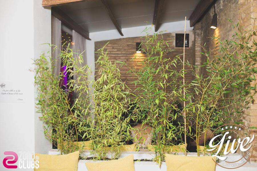 PROYECTO DE REFORMA Y ACONDICIONAMIENTO DE LOCAL