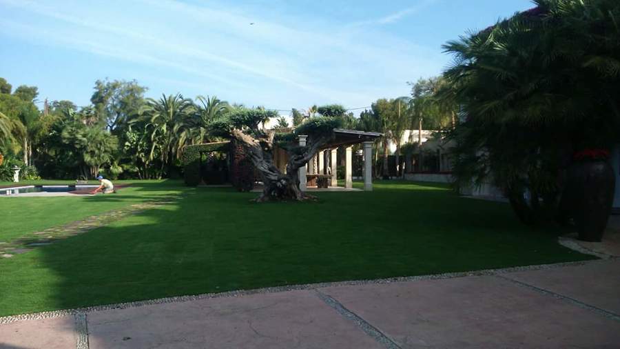 COLOCACION DE TEPES DE CESPED NATURAL (GENTILEZA TEPES VENDRELL)