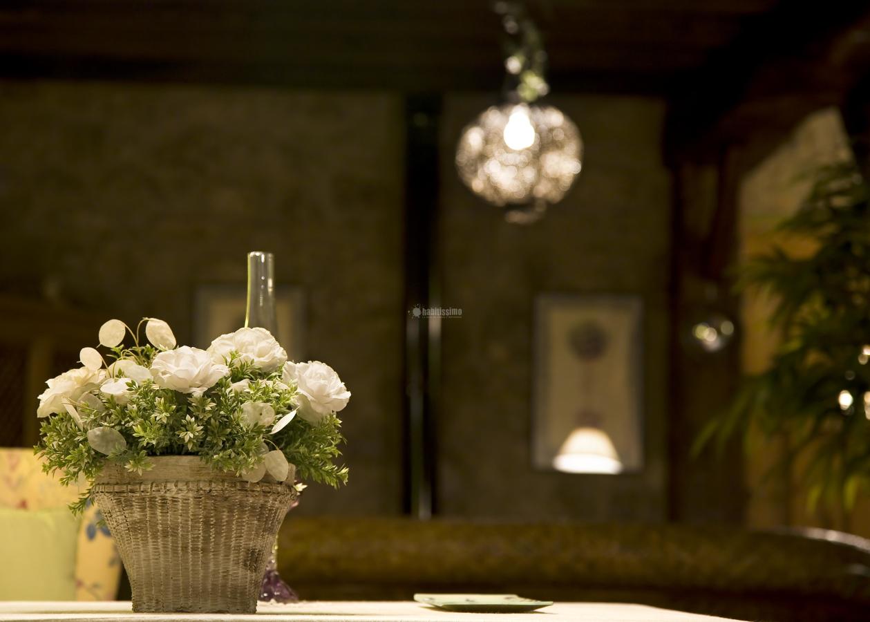 Muebles, Artículos Decoración, Colchones