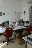 Arquitectos, Reformas Viviendas, Reformas Integrales