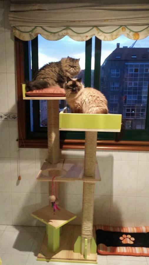 Mobiliario a medida para mascotas