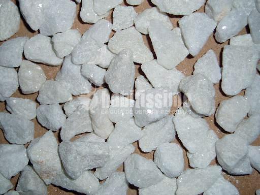 Jardineros, Paisajistas, Artículos Decoración