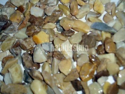 Jardineros, Paisajistas, Decoración