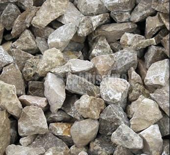 Jardineros, Decoración, Paisajistas