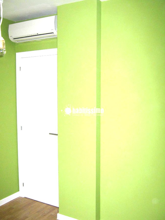 Pintores, Artículos Decoración, Escayola