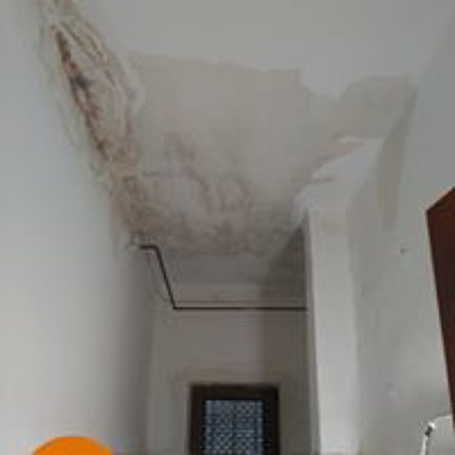 GOTERA EN TECHO DE VIVIENDA