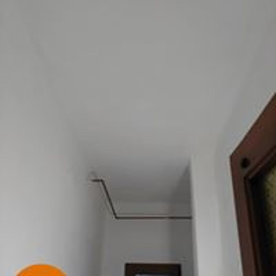 GOTERA EN TECHO DE VIVIENDA