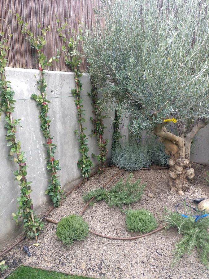 Jardinería