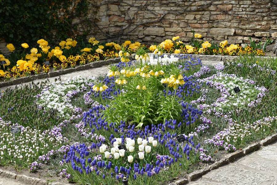 Plantar flores en primavera 2016/2017