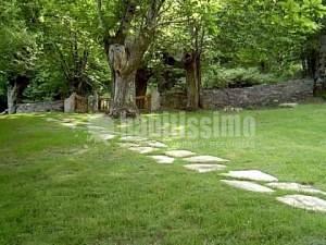 Jardineros, Podas, Riegos