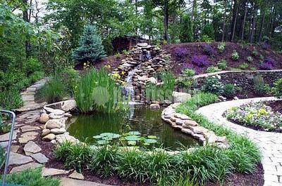 Jardineros, Podas, Riegos