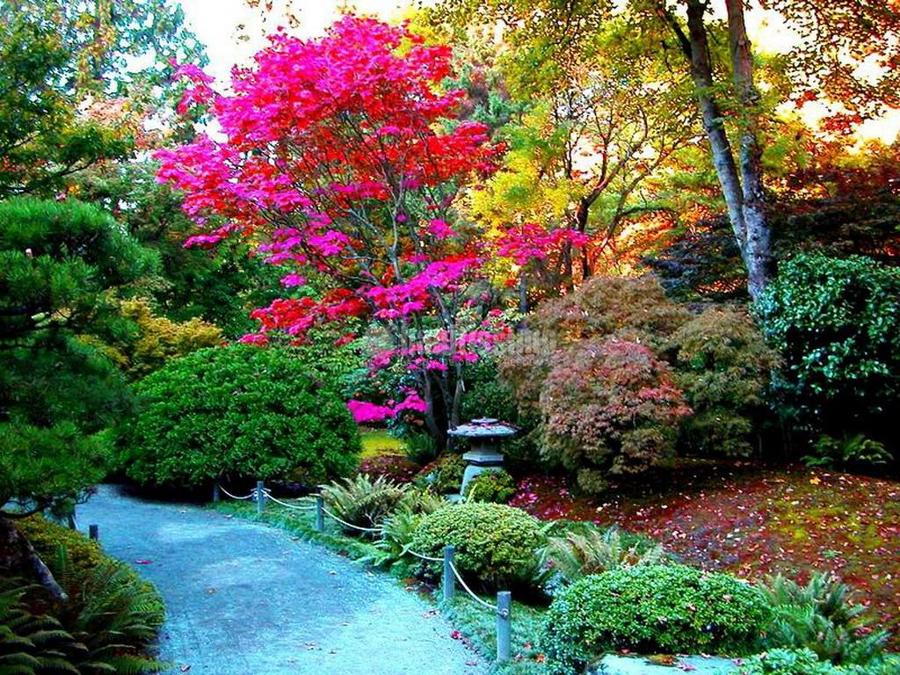 Jardineros, Riegos, Podas