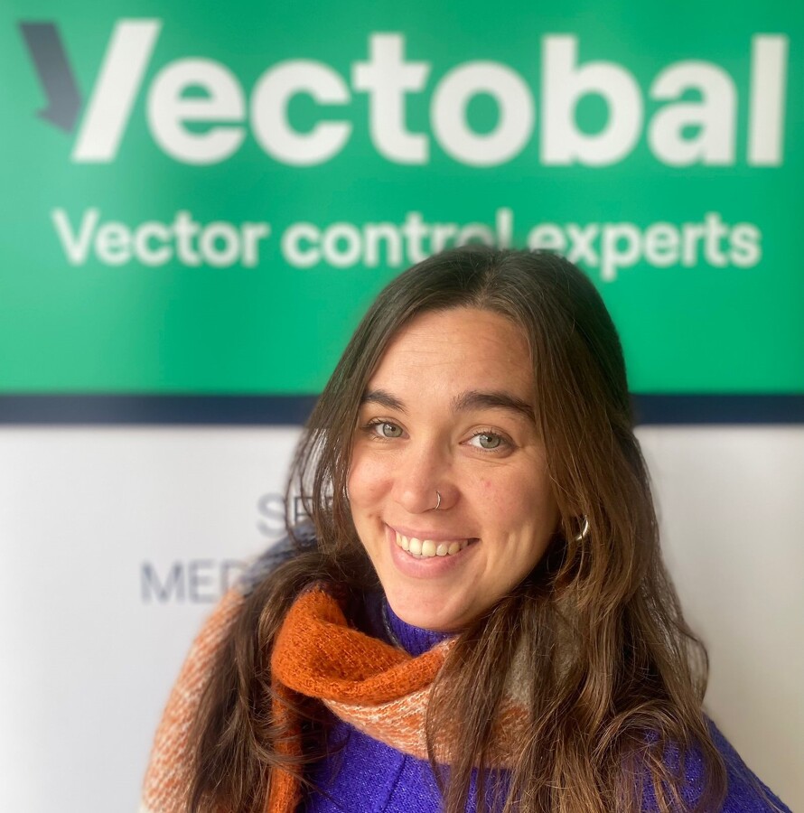 Responsable técnico