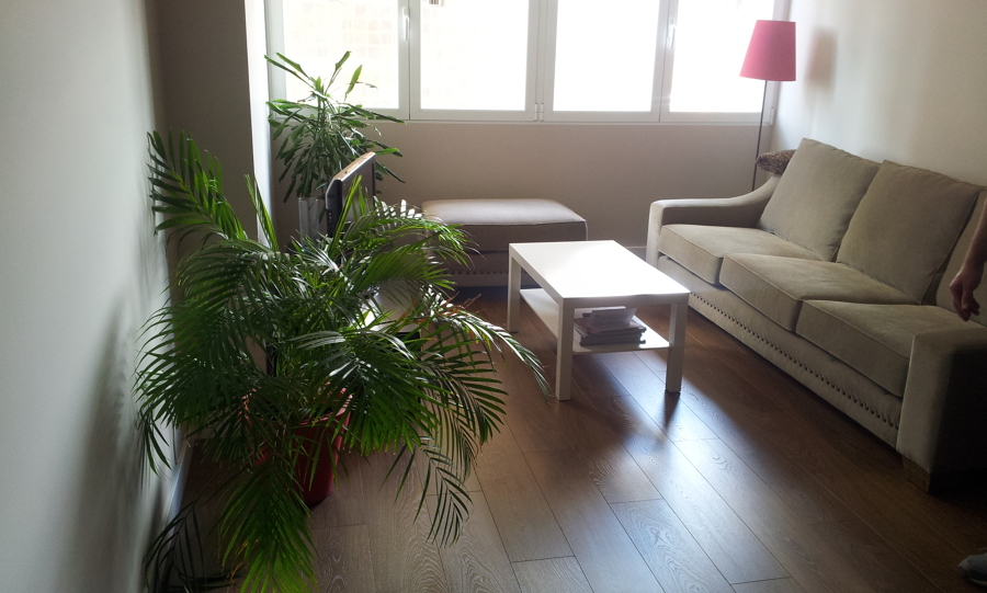 Rehabilitación en el Retiro