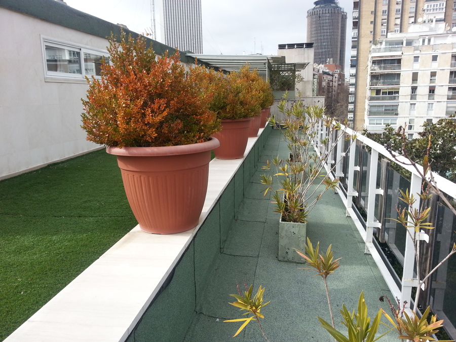 RIEGO  POR GOTEO EN ATICO