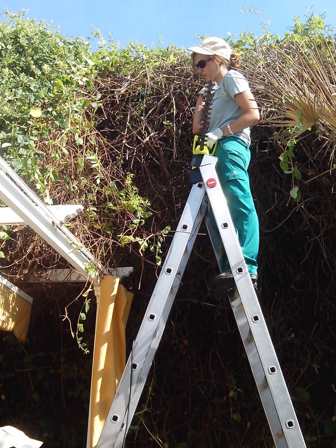 recorte de setos altura