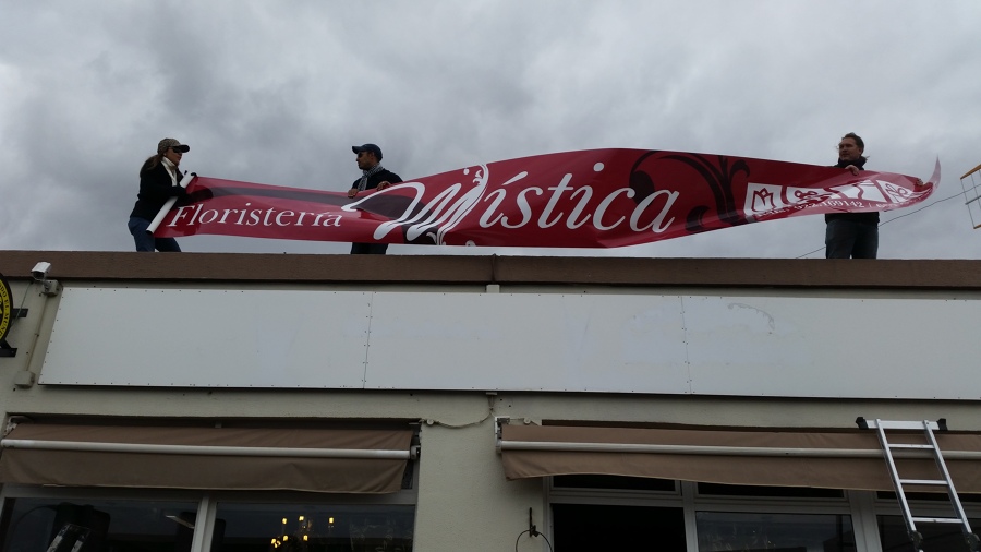 instalacion vinil, modificacion fachada floristeria 