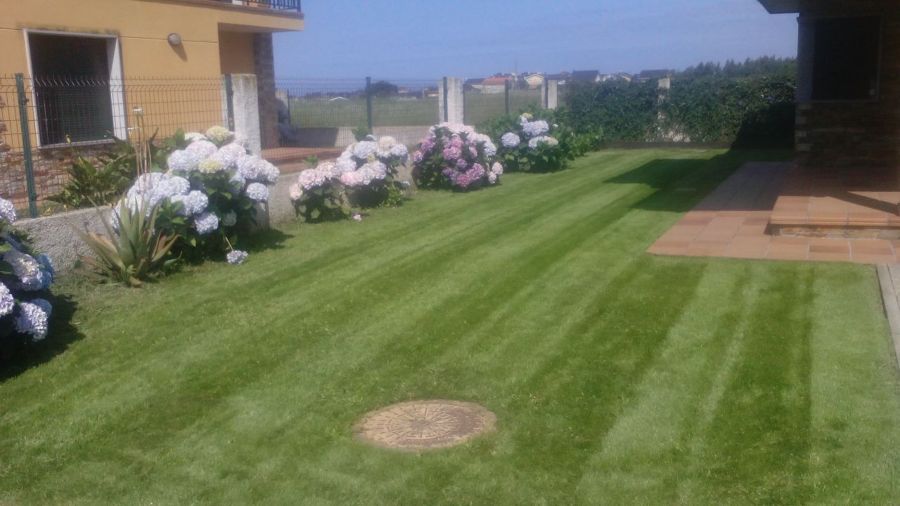 Primer corte césped - Benquerencia