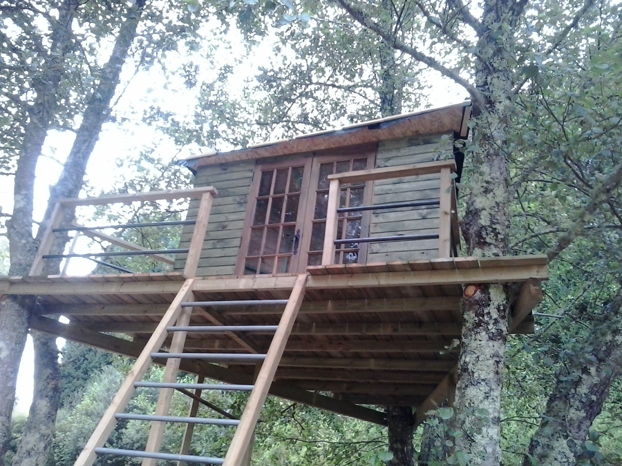 Tree House