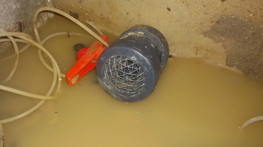 Rejilla anti roedores depuradora piscina