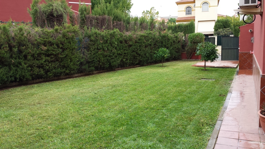 Puesta apunto jardín en Espartinas Sevilla.