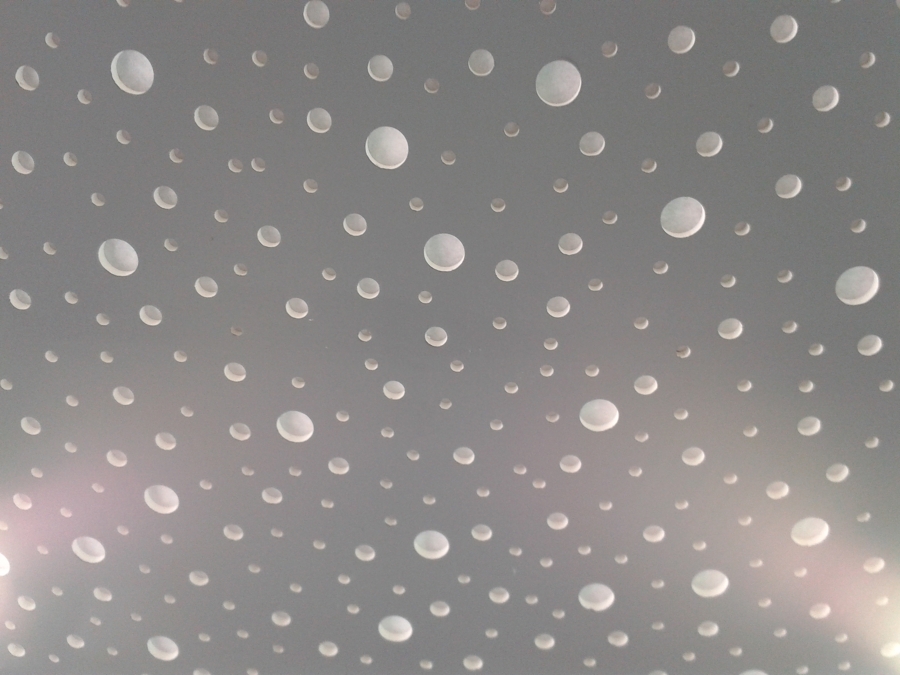 DETALLE TECHO RECEPCION