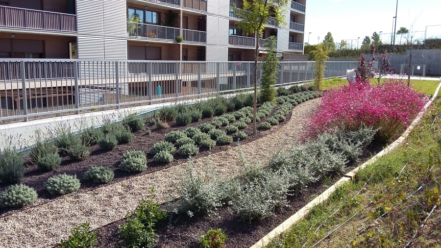 Comunidad_Tres Cantos