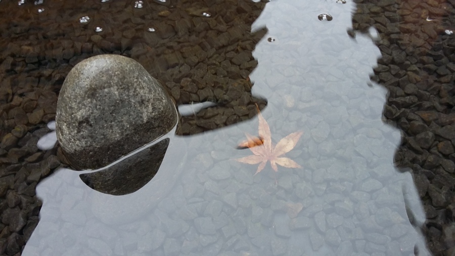 Jardín_Colmenar Viejo