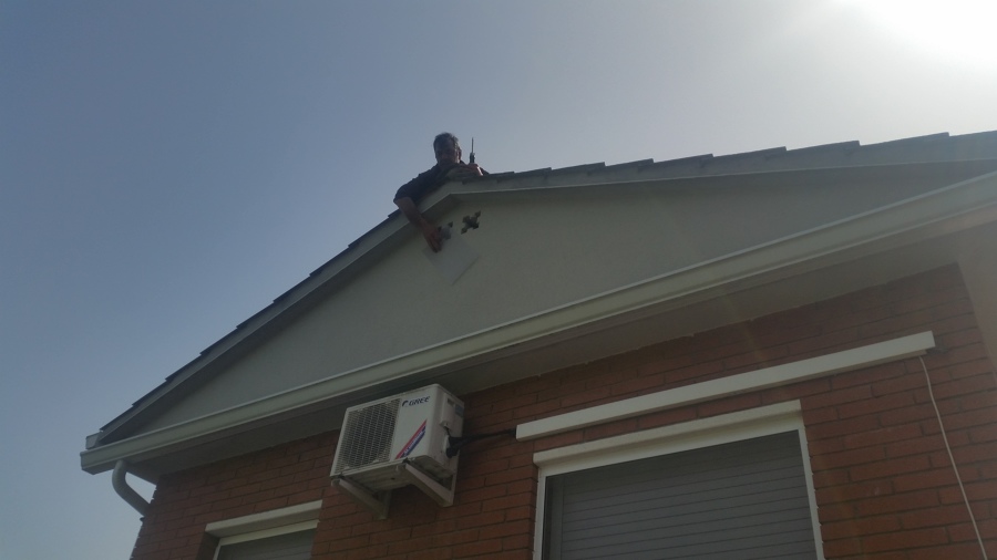 CONTROL DE PLAGAS DE AVES