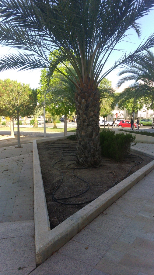 Mantenimiento de jardines