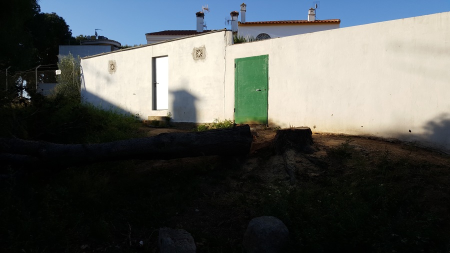 Poda de árbol