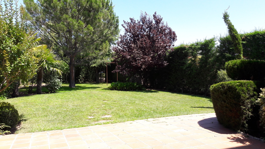 Pradera en perfecto estado 