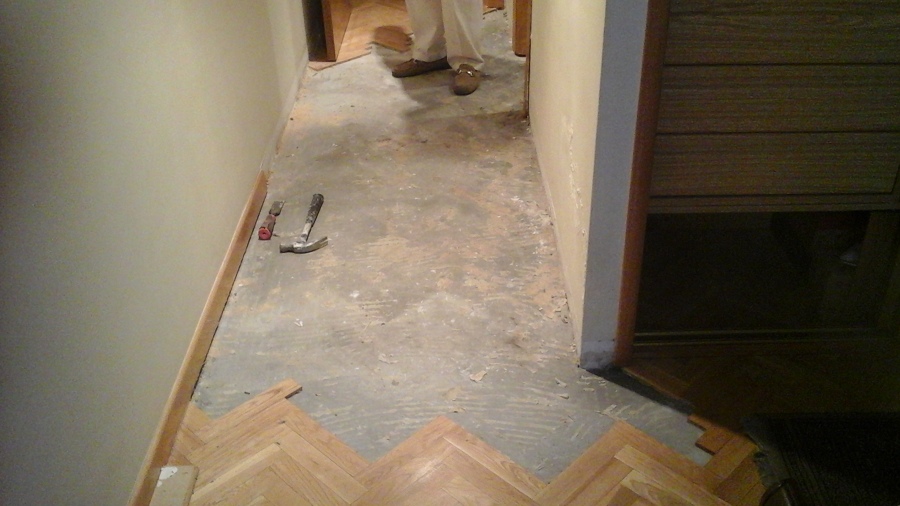 fuga de agua de bote sifonico