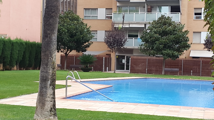 MANTENIMIENTO DE COMUNIDAD.FOTO 2