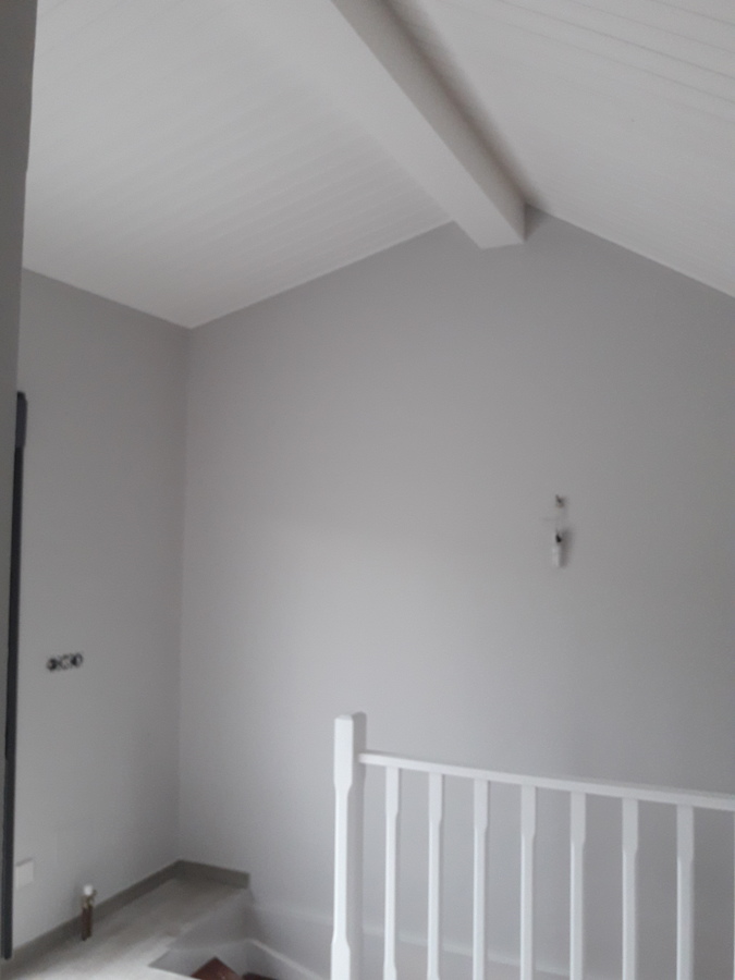 Pintado de abuardillado