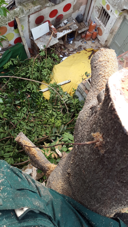 NO SÉ VE EL FONDO DEL PATIO