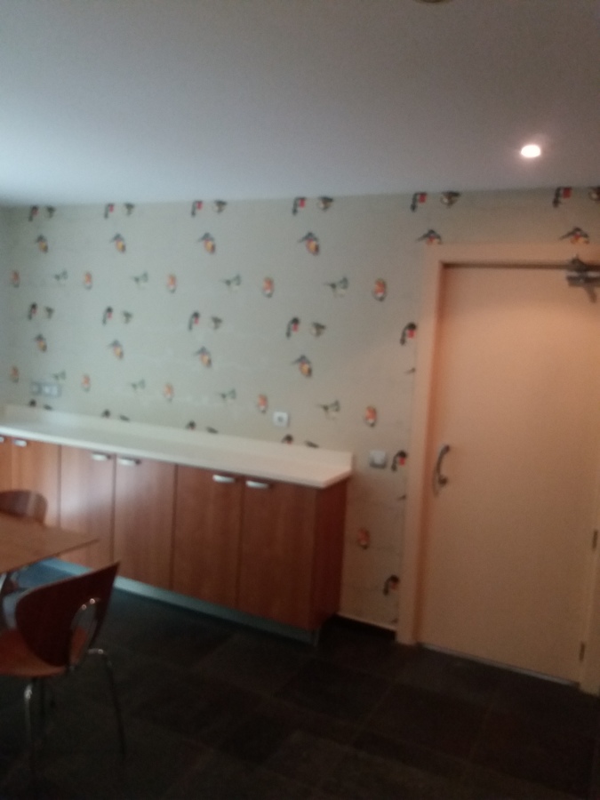 Papel pintado pajaritos