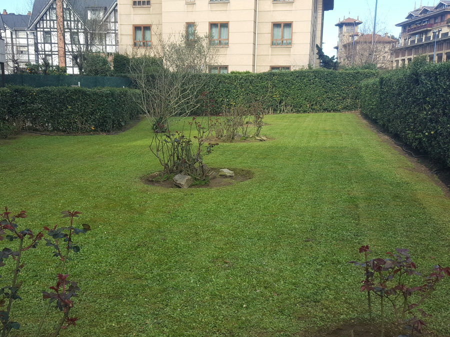 Mantenimiento de jardín