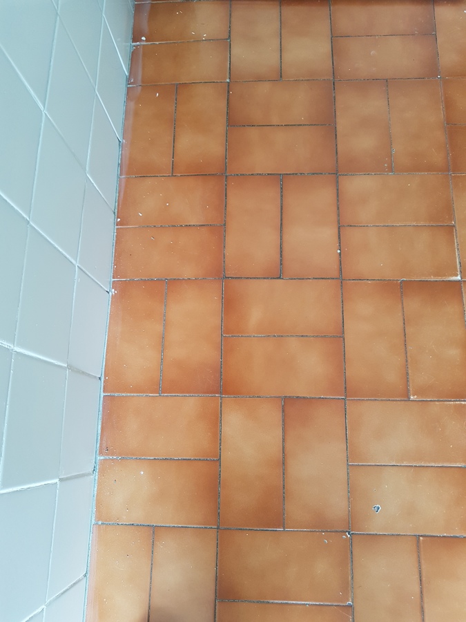 Renovación de juntas!