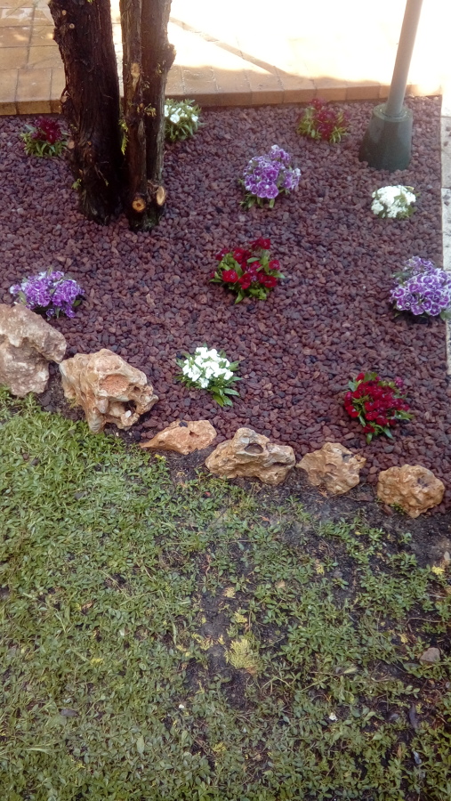 Construccion jardin con tela anti hyerbas plantar y grava vulcanica + rocas
