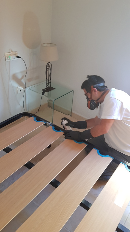 Tratamiento contra chinches