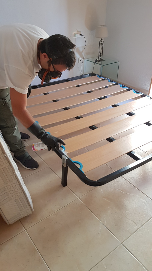 Tratamiento contra chinches