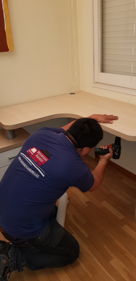 Mudanzas y desmontaje y montaje