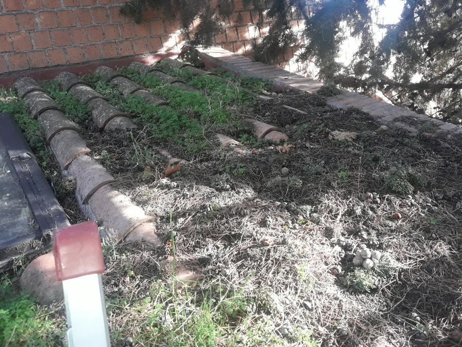 Reparación y limpieza de tejado (antes)