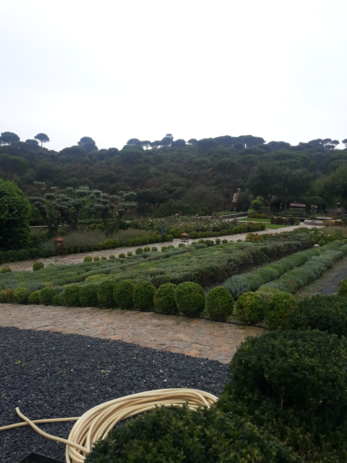 Jardinería y multiservicios