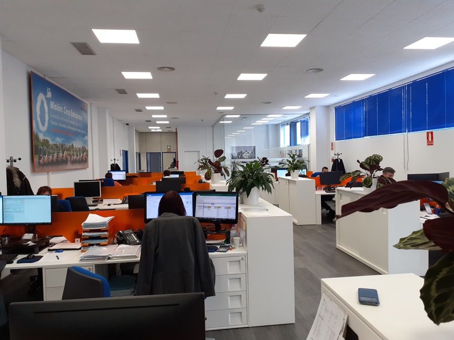 paneles absorbentes techo oficina