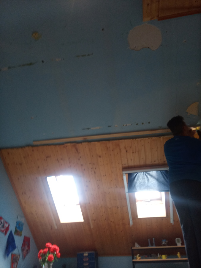 Reparacion techo