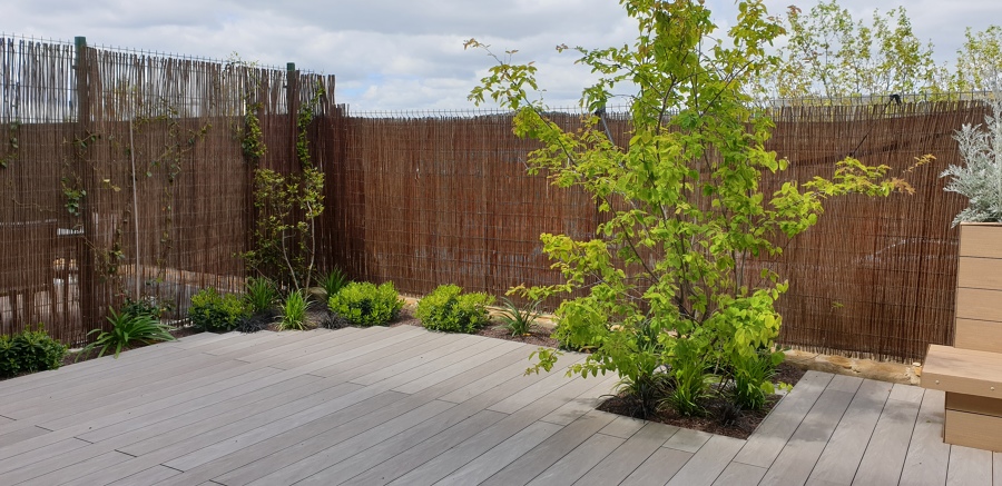 Jardín en Torrelodones