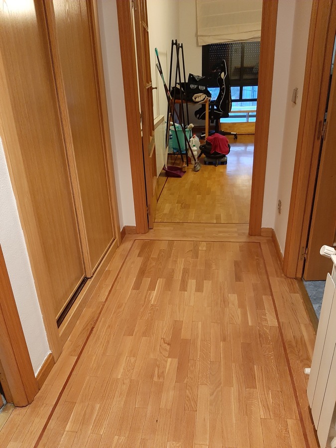 Limpieza Síndrome de Diógenes.