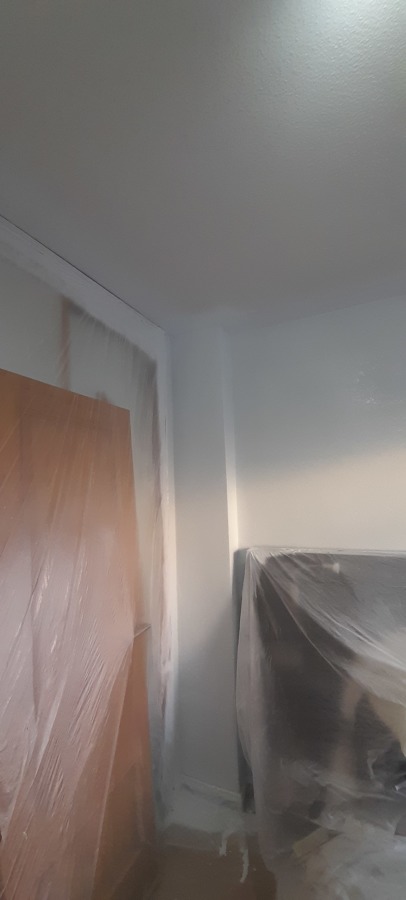 Protección de armarios con plástico